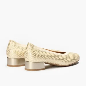 Calzaro Bailarinas | Bailarina Salón Mujer Tacon Bajo 5080 Dorado