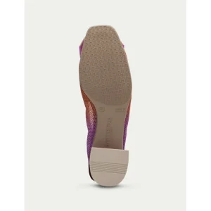 Calzaro Bailarinas | Bailarina Tacón 232833 Salma-Papaya-Pink
