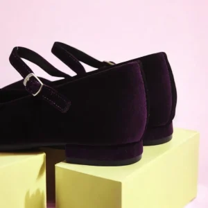 Calzaro Zapatos De Tac贸n | Bailarinas | Bailarinas Flexibles 459 en Terciopelo Purpura Morado