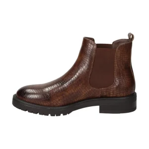 Calzaro Botas Bajas Y Botines | Botin plano 18085 en marrón