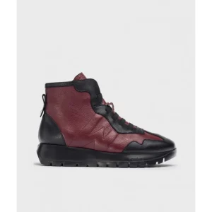 Calzaro Botas Y Botines Mujer | Botín England 2451 Burdeos