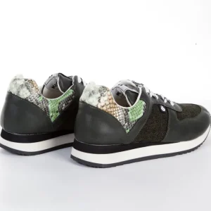 Calzaro Deportivas | Deportivas | Deportiva Sneaker Y20 Serpiente