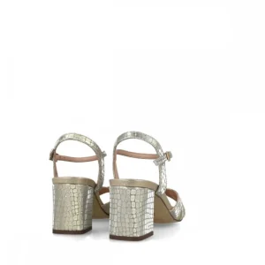 Calzaro Zapatos De Tac贸n | Sandalia 23708 Corona Australis Oro