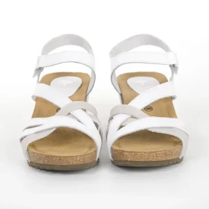 Calzaro Sandalias Bios | Sandalia 5635 Gris y Blanco.