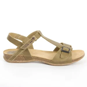 Calzaro Sandalias Bios | Sandalia 4462 Kaki .