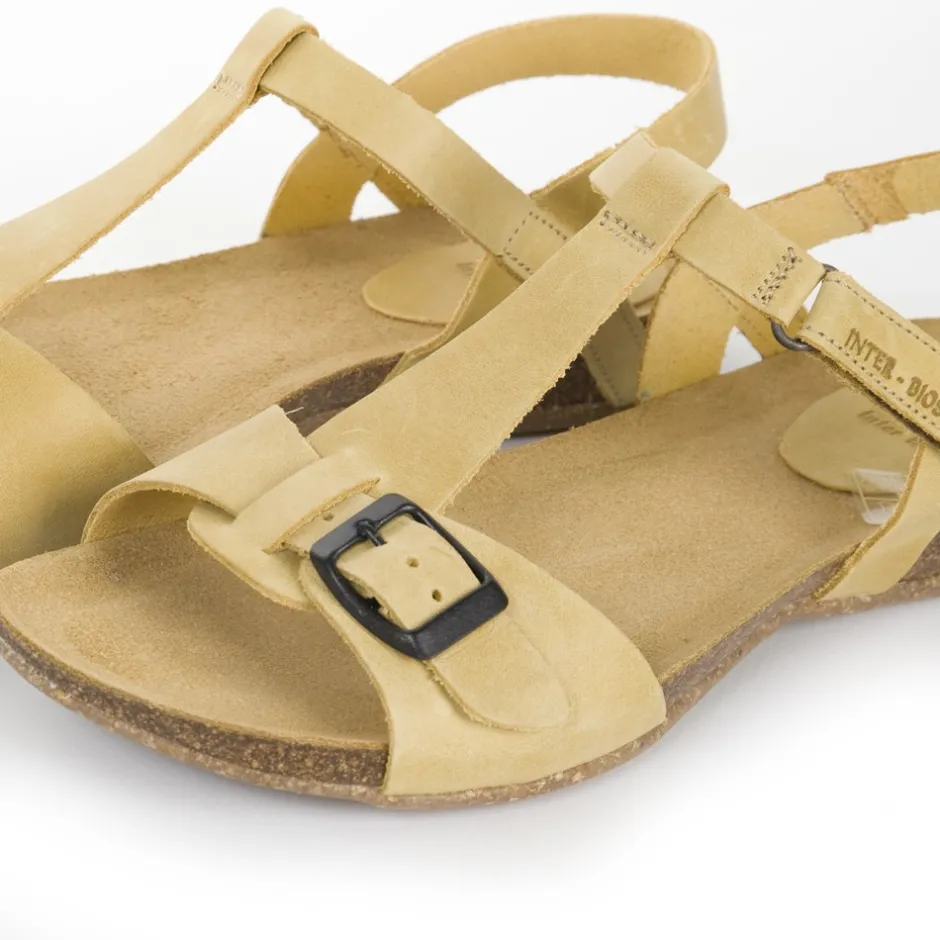 sandalia__mostaza__0.webp Calzaro Sandalias Bios | Sandalia 4462 Mostaza .