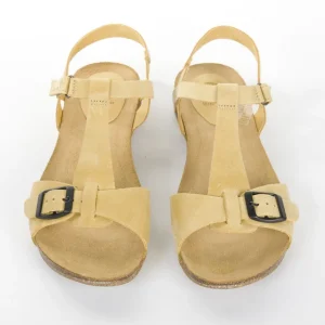 Calzaro Sandalias Bios | Sandalia 4462 Mostaza .