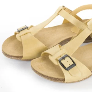 Calzaro Sandalias Bios | Sandalia 4462 Mostaza .