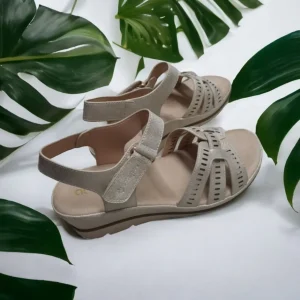 Calzaro Sandalias | Sandalia 23534 Oro Platino