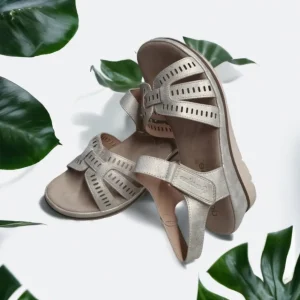 Calzaro Sandalias | Sandalia 23534 Oro Platino