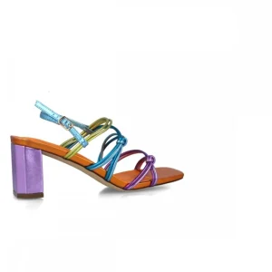 Calzaro Zapatos De Tac贸n | Sandalia 24852 Pártula Multicolor.