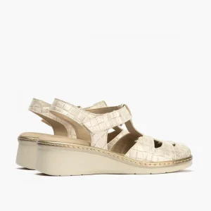 Calzaro Sandalias | Sandalia Cangrejera Mujer 5682 Ancho Especial Dorado.