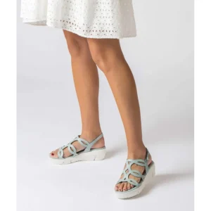 Calzaro Sandalias | Sandalia Fly 8261 Aloe Platino Celeste