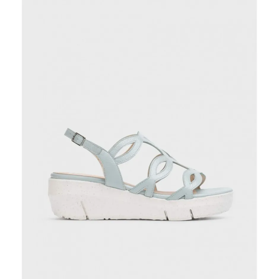 sandalia_fly__aloe_platin_3.webp Calzaro Sandalias | Sandalia Fly 8261 Aloe Platino Celeste