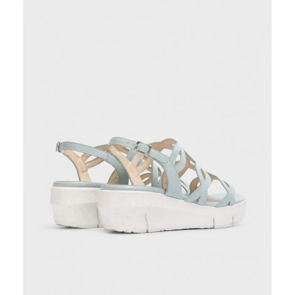 sandalia_fly__aloe_platin_4.webp Calzaro Sandalias | Sandalia Fly 8261 Aloe Platino Celeste