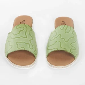 Calzaro Sandalias | Sandalia plana 5012 verde