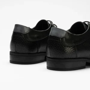 Calzaro Zapatos Con Cordones | Zapato Blucher Hombre con Cordones 4810 Negro
