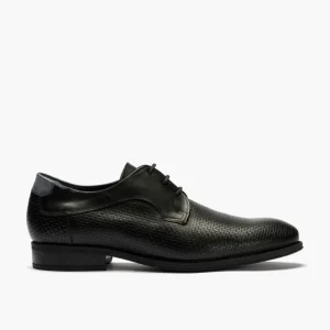 Calzaro Zapatos Con Cordones | Zapato Blucher Hombre con Cordones 4810 Negro
