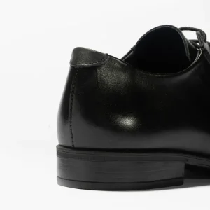 Calzaro Zapatos Con Cordones | Zapato Blucher Hombre con Cordones 112 Negro