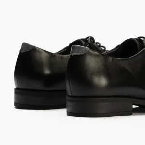 Calzaro Zapatos Con Cordones | Zapato Blucher Hombre con Cordones 112 Negro