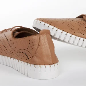 Calzaro Zapatos Con Cordones | Zapato Cordón Sport 216 en Napa Cuero