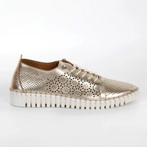 Calzaro Zapatos Con Cordones | Zapato Cordón Sport 215 en Oro