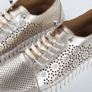 Calzaro Zapatos Con Cordones | Zapato Cordón Sport 215 en Oro