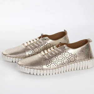 Calzaro Zapatos Con Cordones | Zapato Cordón Sport 215 en Oro