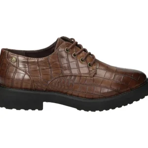 Calzaro Zapatos Con Cordones | Zapato cordones 18127 en marrón